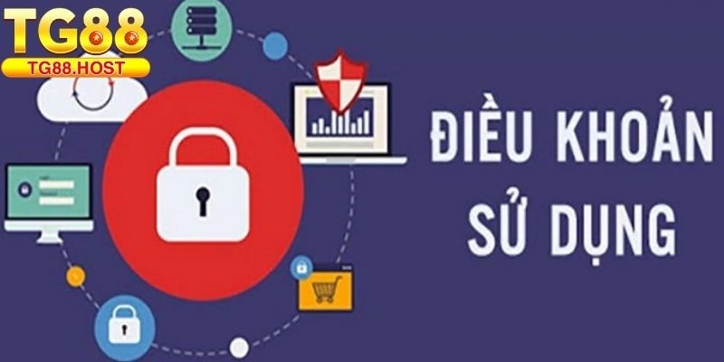 Điều khoản sử dụng